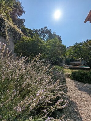 Property grounds - Villa med Basseng og Hage i Saint Paul de Vence (Saint-Paul-de-Vence)