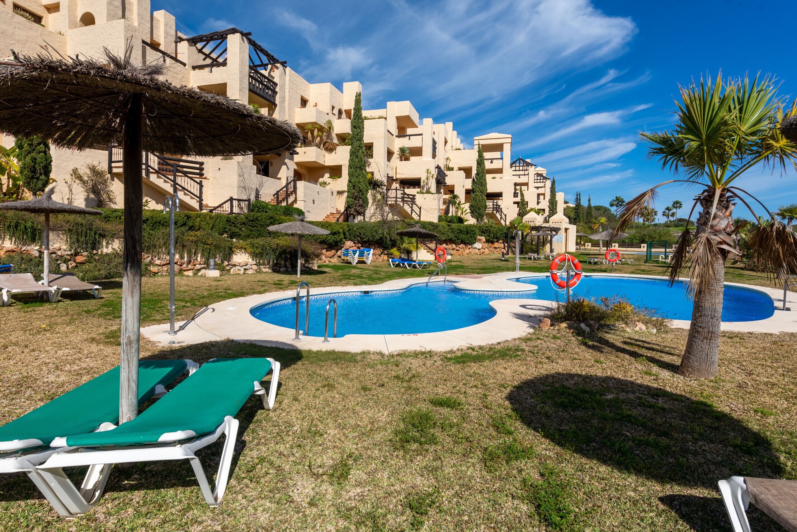 Zona de piscina con sillas de descanso, una palmera y un edificio con balcones al fondo.