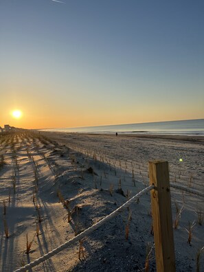 A beach with a wooden fence and sparse vegetation. - The Pink cottage on West Beach, water front , short walk to beach (Oak Island)