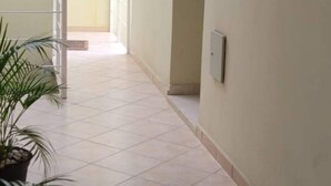 Un couloir carrelé, avec une plante en pot et une porte au fond.
