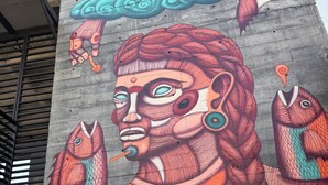 A mural on a building featuring a figure holding fish. - Amae21 Lofts (San Pedro Garza García)