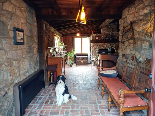 Adventure Doggie's Homestead @ Upper Bucks - No Pet Fees