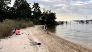 A beach with a pebbly shore, a wooden pier extending into the water, and dense trees in the background.