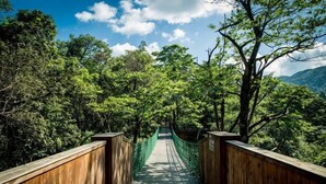 A wooden suspension bridge surrounded by dense forest and mountains under a clear sky. - Xianfeng Pingbaying Forest Hotel (Xianfeng)