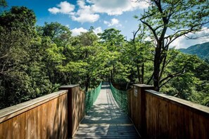 Property grounds - Xianfeng Pingbaying Forest Hotel (Xianfeng)