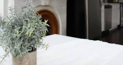 Chic, Renovated Brownstone in Prime DT Albany