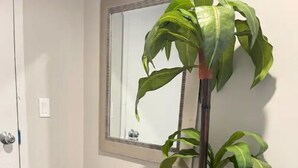 Casa de banho com chão em mosaico preto, porta-toalhas preto, espelho e uma planta em vaso.