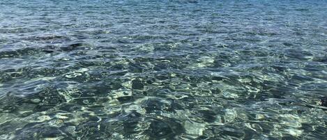 Nær stranden og solsenger