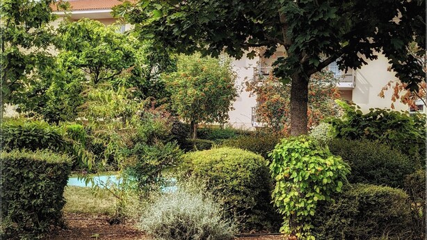 Un jardin luxuriant, avec une grande variété d’arbres et d’arbustes, un ciel dégagé et une vue lointaine d’un bâtiment dont le toit est rouge.