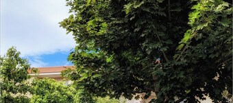 Chambre aux Pieds des Volcans