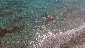 A clear view of a beach with visible seaweed and pebbles on the shore. - Ground Floor Bodmin Retreat Free Parking (Bodmin)