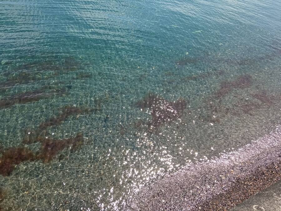 A clear view of a beach with visible seaweed and pebbles on the shore.