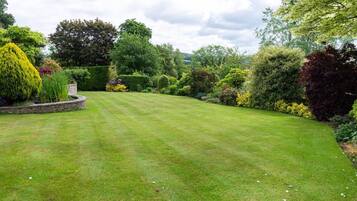 House | Property grounds