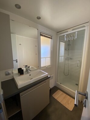 Shower, toilet paper - Vacation rental near Royan in a magnificent setting (sainte gemme)