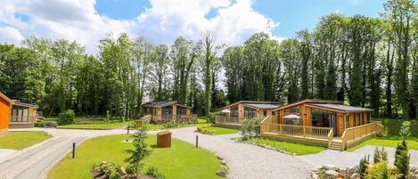 المنطقة المحيطة بالمنشأة