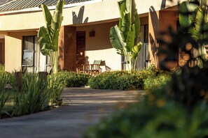 A building with a pathway leading to a seating area, surrounded by greenery and large leaves. - The Nkhosi Livingstone Lodge and Spa (Livingstone)