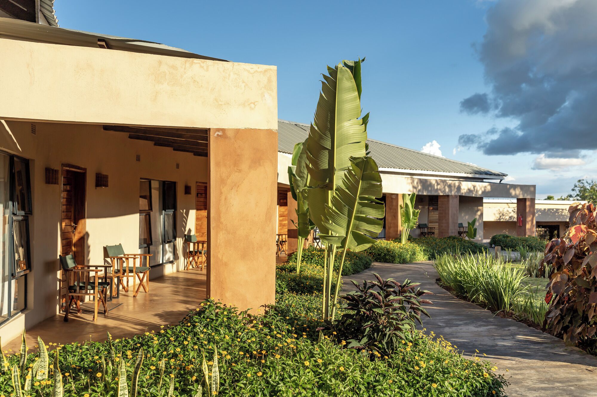 A building with a covered outdoor seating area, a large leaf plant, and a pathway.