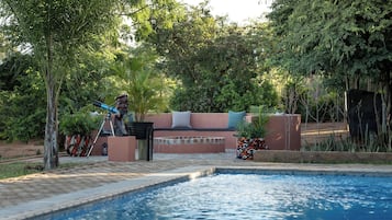 Outdoor pool, sun loungers