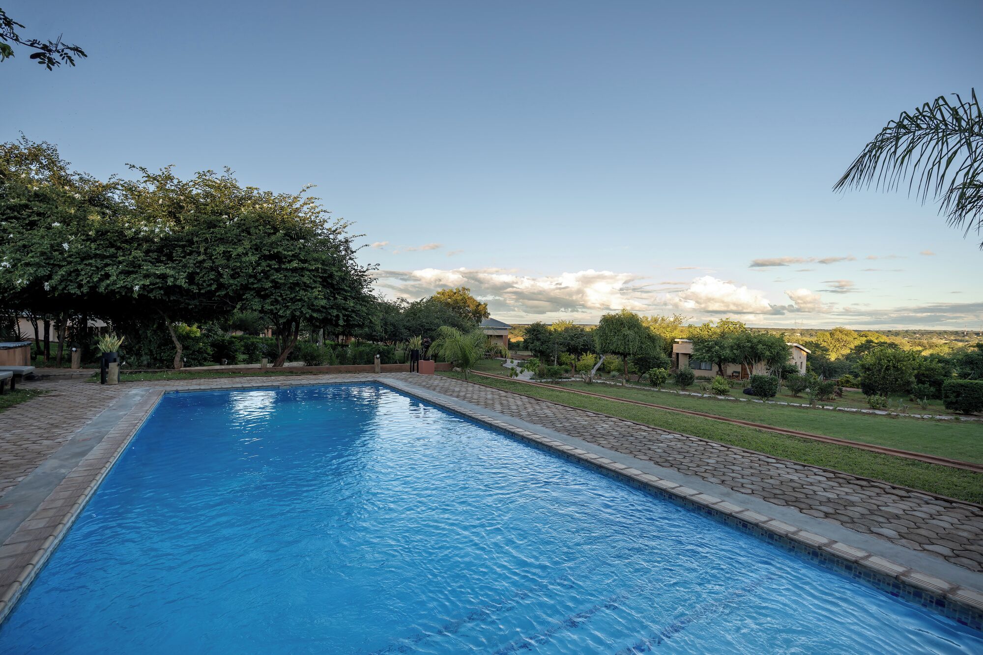 A rectangular swimming pool with a paved edge, surrounded by greenery and a clear sky.