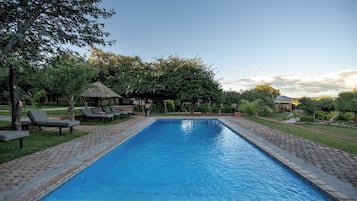 Outdoor pool, sun loungers