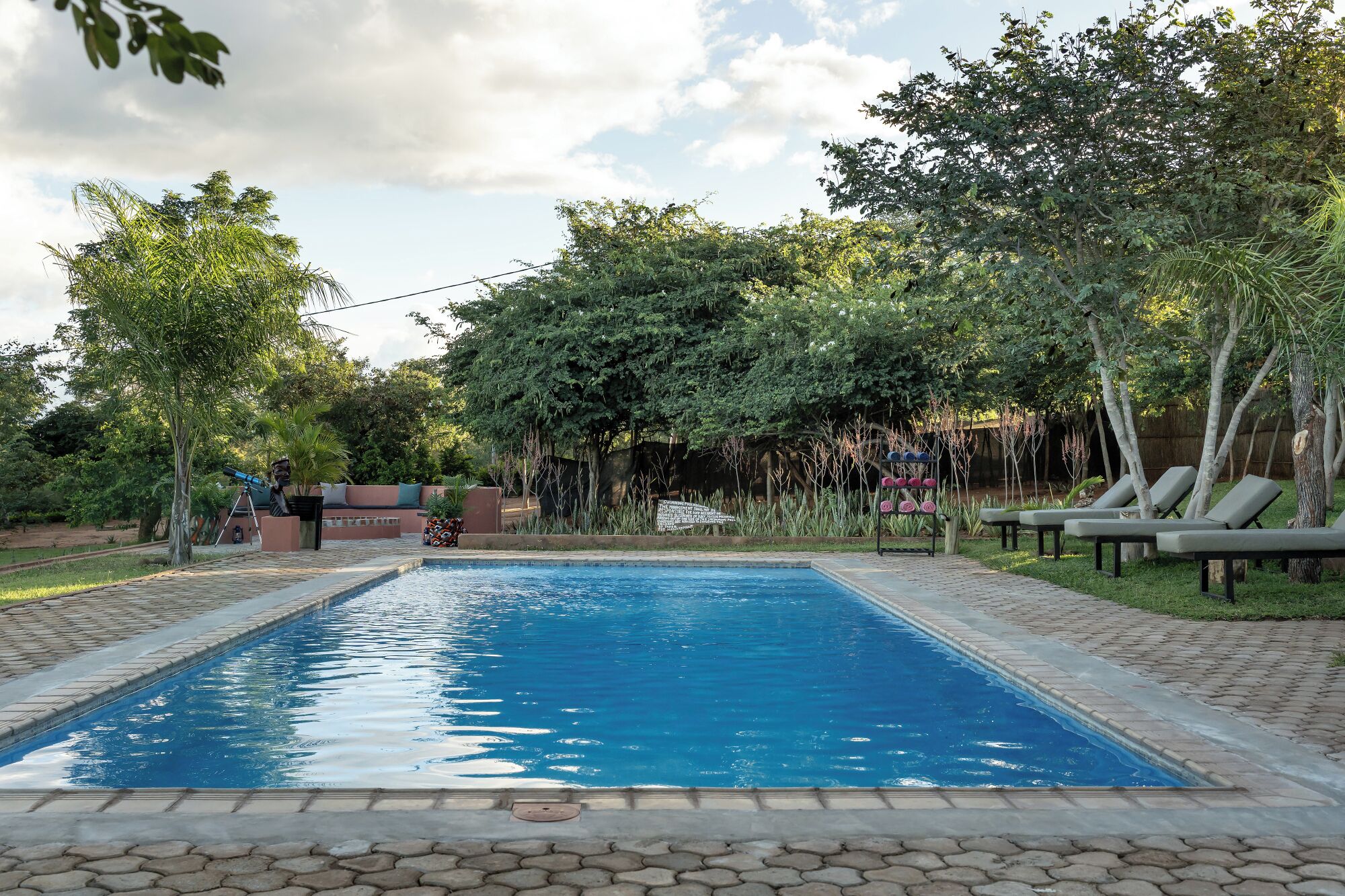 A rectangular swimming pool with a stone border, surrounded by lush greenery and trees.