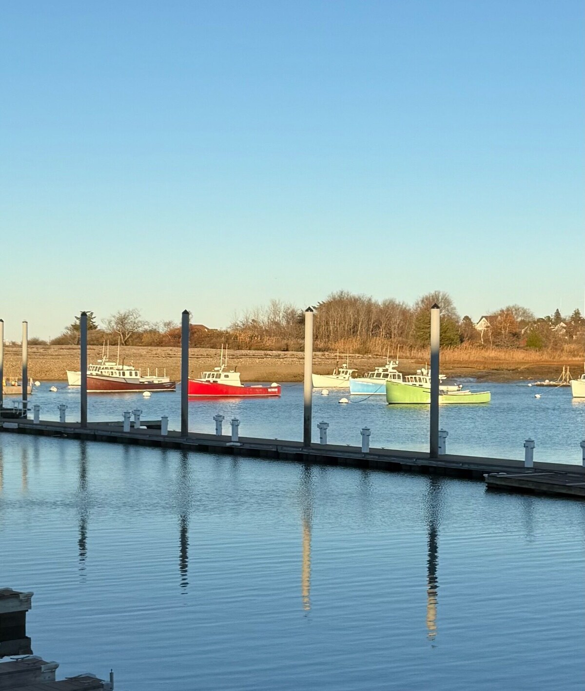 Imagen de perfil del propietario o de la propietaria