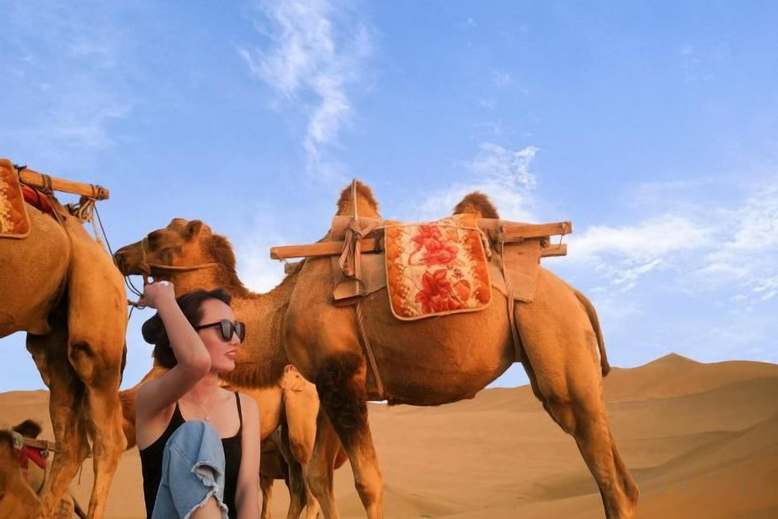 Paisaje desértico con camellos y una persona.