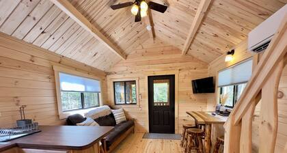 Cozy Coastal Cabin #1