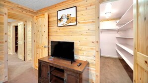A wooden-paneled room with a television on a wooden stand, a framed picture on the wall, and a closet with shelves.