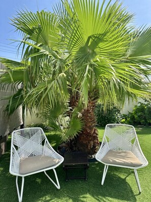 Deux chaises en osier blanc avec des coussins, une petite table et un grand palmier, le tout dans un cadre de jardin.