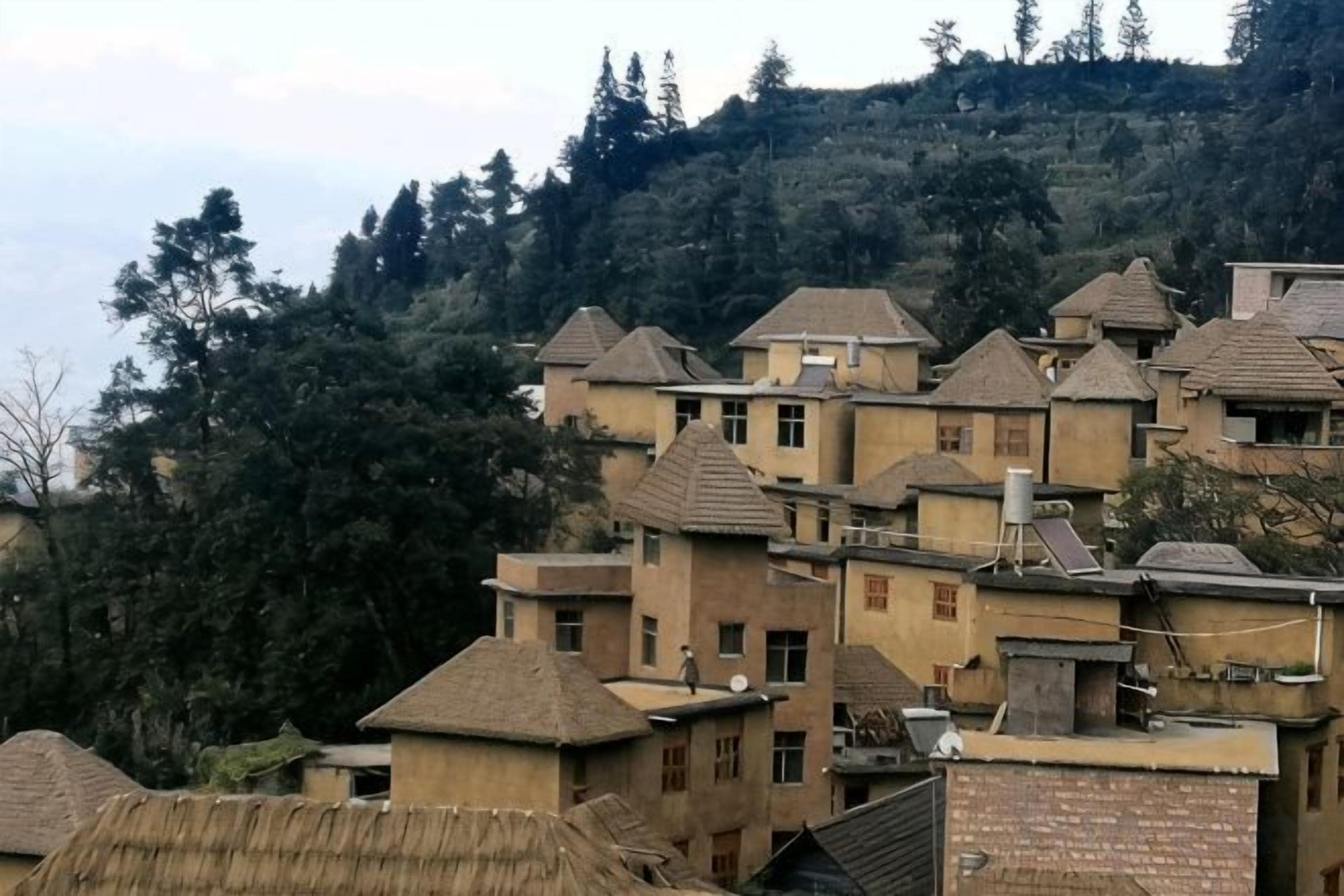 Un conjunto de edificios con varios tejados, algunos planos y otros a dos aguas, rodeado de árboles y colinas.