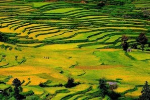 Golf - Jacky's Guesthouse (Yuanyang)