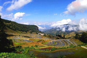 Campos en terrazas y una carretera serpenteando por un paisaje montañoso.