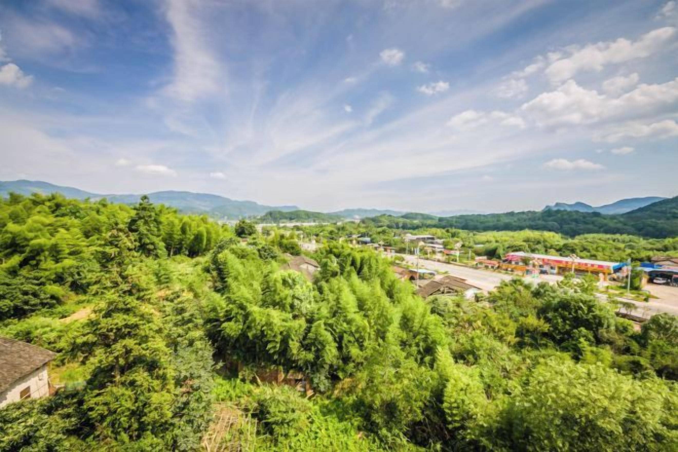 Un paisaje con vegetación densa, una carretera y edificios al fondo.
