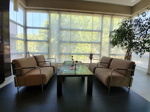A room with two leather sofas facing a glass coffee table, large windows with sheer curtains, and a potted plant. - Brotnjo (Citluk)