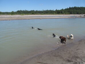 Plage