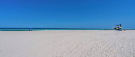 ビーチの近く、サンラウンジャー、ビーチタオル