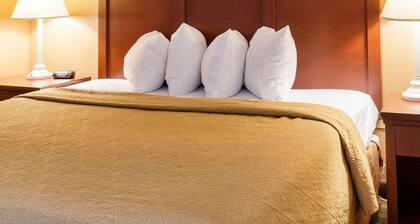 Quality Inn Louisville