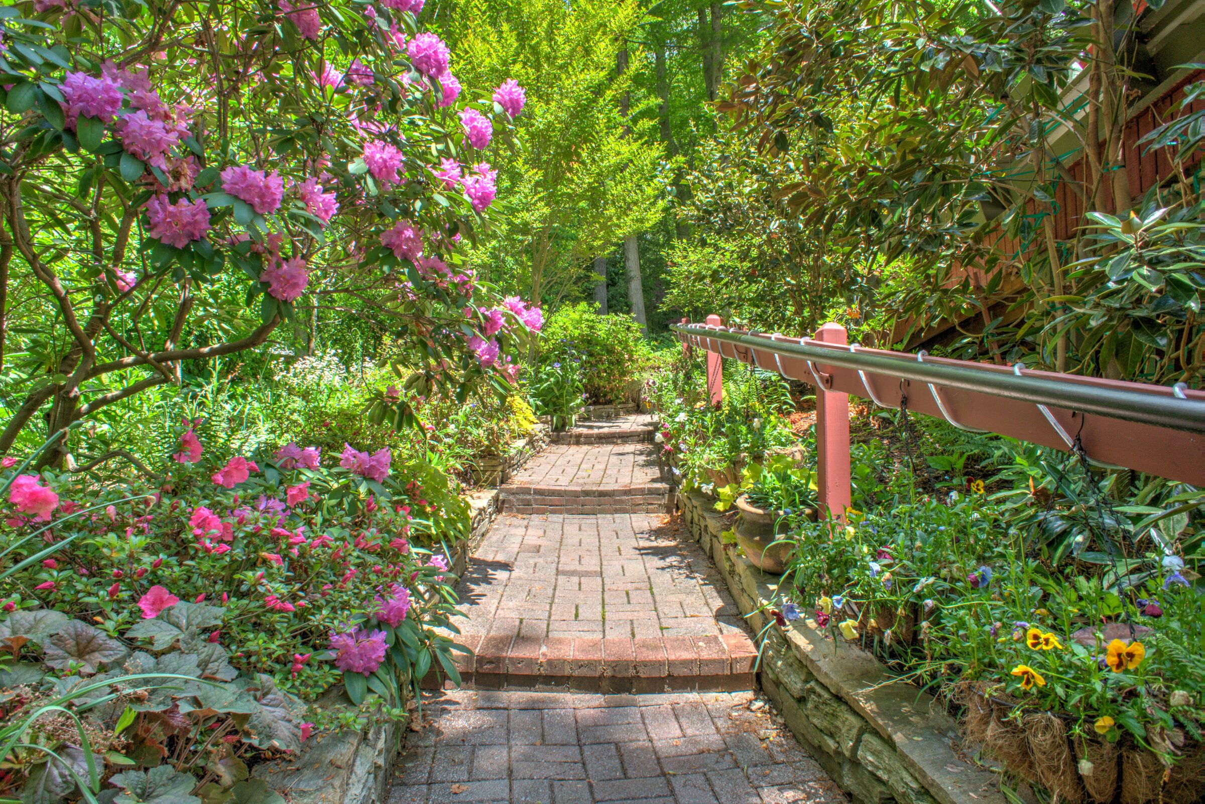 Terrain de l’hébergement 