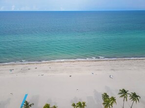 A beach with a clear view of the ocean, a sandy shore, and a few palm trees.
