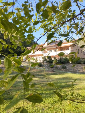 Property grounds - Il Monte Apartment, sourrounded by greenery (Pian della Pieve)