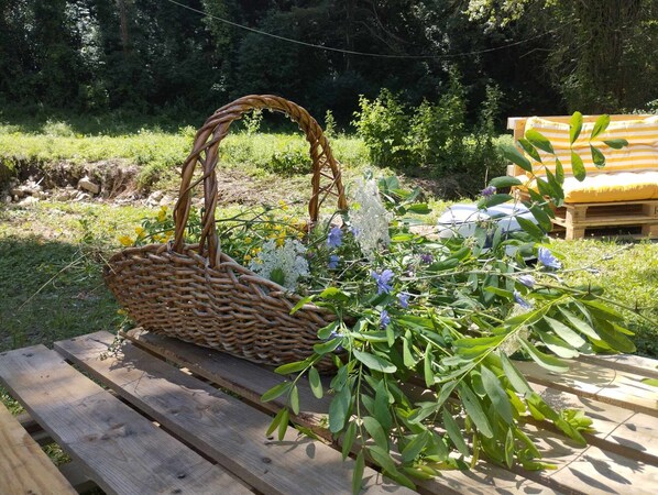 Property grounds - Il Monte Apartment, sourrounded by greenery (Pian della Pieve)