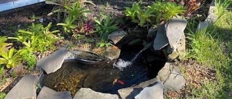 Un petit étang rocheux, avec de l’eau qui s’écoule sur une cascade, entouré de différentes plantes et de rochers.