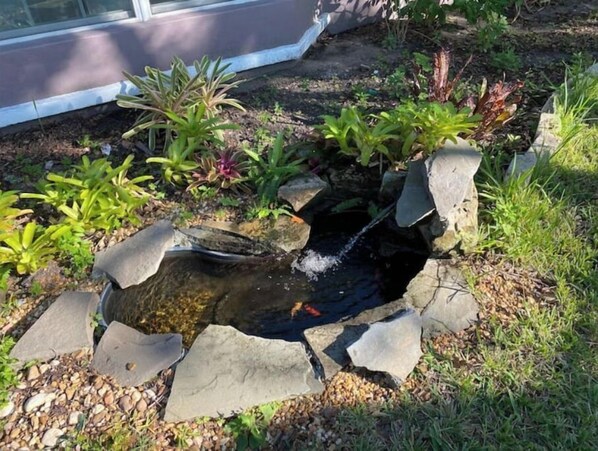 A small, rocky pond with water flowing over a waterfall, surrounded by various plants and rocks.