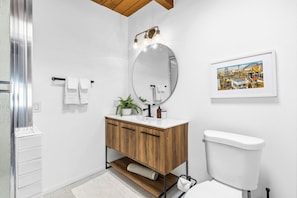 Combined shower/tub, hair dryer