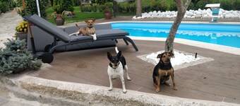 Apartment in a house with garden, pool and barbecue, 10 minutes from Pontevedra