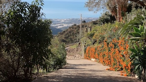 A paved pathway flanked by dense foliage and vibrant orange flowers, leading towards a distant view of the ocean. - Los Naranjos - Luxury villa with private pool and stunning sea view (Sayalonga)