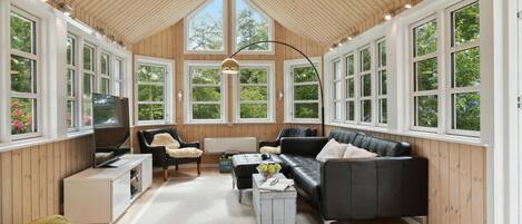 تلفزيون ذكي، مدفأة