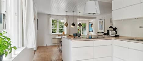 Fridge, stovetop, dishwasher, coffee/tea maker