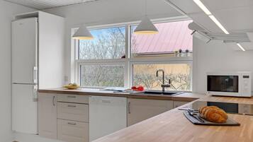 Kühlschrank, Mikrowelle, Herdplatte, Geschirrspüler
